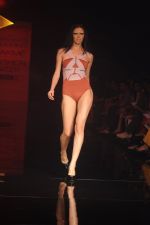 Model walk the ramp for Shrivan Naresh show at Lakme Fashion Week Day 4 on 6th Aug 2012 (52).JPG